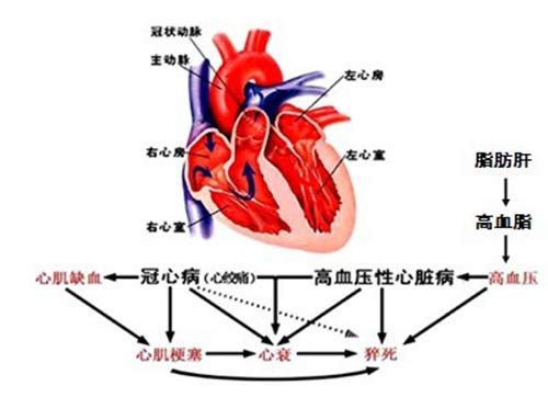 Fꖏ(qing)ֱt(y)ԺѪY(hu)l(f)ļ.jpg