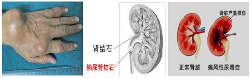 F(yng)(qing)ֱt(y)ԺʹL(fng)Ɍ(do)ʹL(fng)ʯIY(ji)ʯIK.jpg